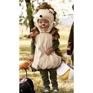 Pottery Barn Kids Hedgehog Costume Sz 12-24M